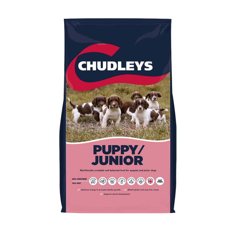 Chudleys Chudleys Puppy / Junior