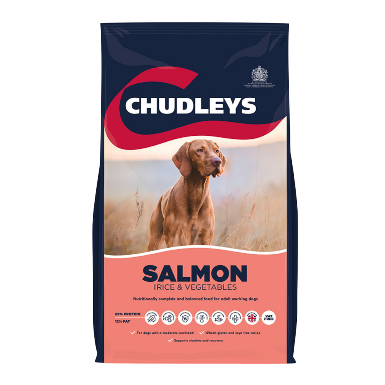 Chudleys Chudleys Salmon with Rice & Vegetables